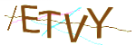 Enter the character string shown in the picture